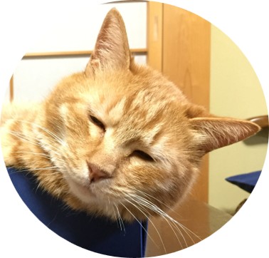 便利軒とらたろう